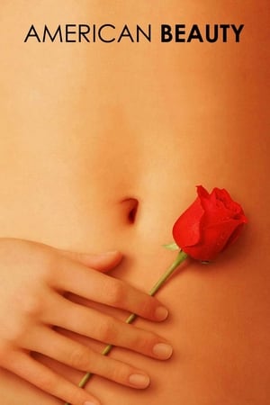 American Beauty (1999) Hindi Dual Audio | Hindi Dubbed Movie BluRay [900MB]