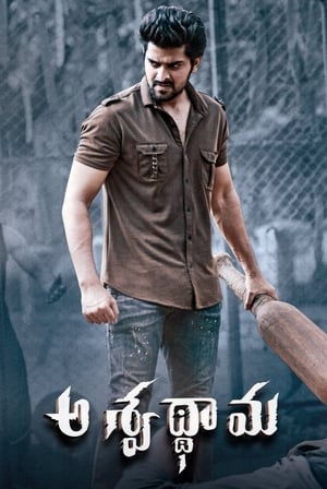 Aswathama 2020 (Hindi – Telugu) Dual Audio | Hindi Dubbed Movie UnCut HDRip [960MB]