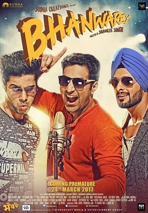 Bhanwarey 2017 Hindi Movie | Hindi Dubbed Movie DVDRip x264 [850MB]