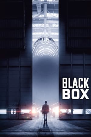 Boxed 2021 Hindi Movie | Hindi Dubbed Movie HDRip – [330MB]