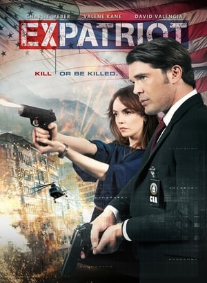 ExPatriot 2017 Hindi Dual Audio | Hindi Dubbed Movie BluRay [870MB]