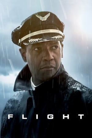 Flight (2012) Hindi Dual Audio | Hindi Dubbed Movie BluRay [1GB]