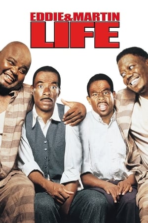 Life (1999) Hindi Dual Audio | Hindi Dubbed Movie BluRay [1.3GB]