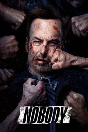 Nobody (2021) Hindi (Cleaned) Dual Audio | Hindi Dubbed Movie Web-DL [880MB]