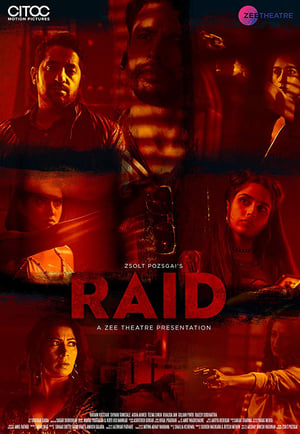 Raid 2019 Hindi Movie | Hindi Dubbed Movie HDRip x264 [650MB]