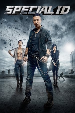 Special ID (2013) Hindi Dual Audio | Hindi Dubbed Movie BluRay [1.3GB] ESubs