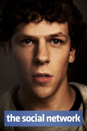 The Social Network 2010 Hindi Dual Audio | Hindi Dubbed Movie BluRay [800MB]